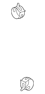 90466A0014 - Cooling System: Clamp for Lexus: ES350, GX550, IS F, LS460, LX600, LX700h, NX350, NX350h, NX450h+, RX350, TX350, TX550h+ Image