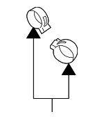 4G0423875 - Emission System: Hose Clamp for Porsche: 911, Boxster, Cayenne, Cayman, Macan Image