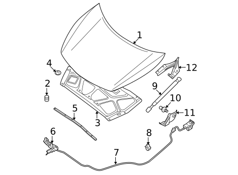 Hood & Components for 2011 Nissan Maxima #0