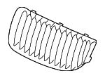51137157275 - Body: Grille for BMW: M3 Image