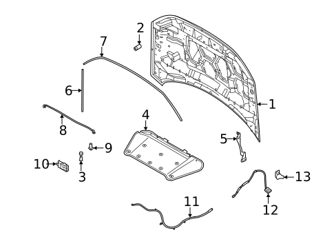 Hood & Components for 2024 Ford Bronco Sport #0