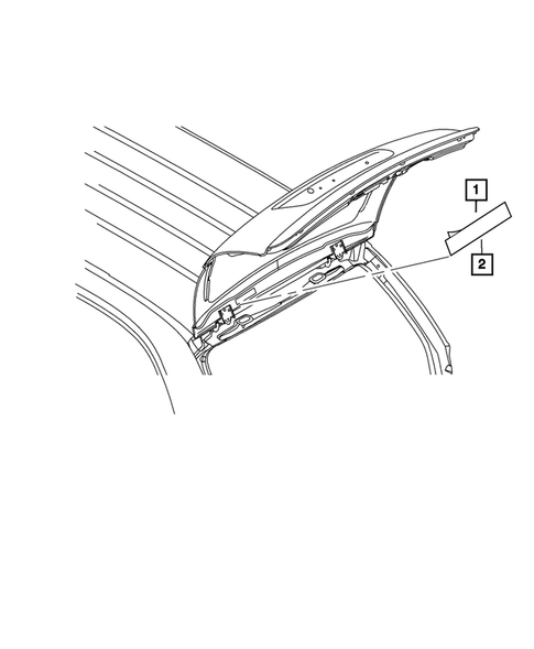 Trunk for 2010 Chrysler Town & Country #0