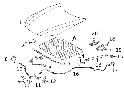 Hood & Components for 2022 Lexus LC500 #0