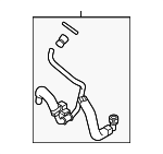 PC3Z8260C - Belts &amp; Cooling: Radiator Coolant Hose for Ford Image