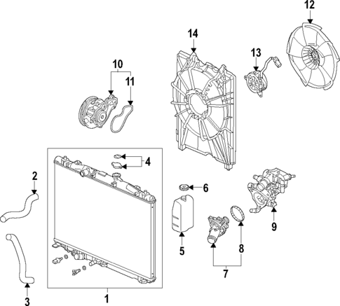 Radiator & Components for 2024 Acura TLX #1
