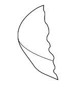 8E9885375C - Body: Seat Cushion Pad for Audi: A4 Quattro, S4 Image