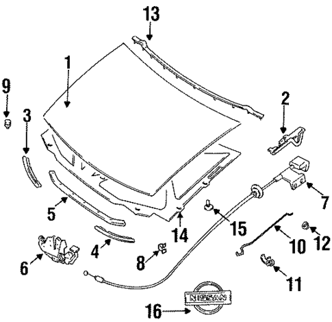 Hood & Components for 1993 Nissan Quest #0