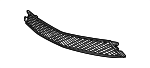 Lower Grille