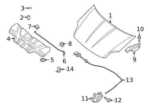 Hood & Components for 2010 Nissan Sentra #0