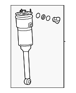 4808050441 - : Air Spring for Lexus: LS500, LS500h Image