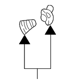 N9020160101C - Body: 2001-2024 Audi - Fender Ledge Cover Rivet for Audi: A3, A3 Quattro, A5, A5 Quattro, e-tron GT, Q5, RS3, RS5, S3, S5, SQ5, TT, TT Quattro, TT RS Quattro, TTS Quattro Image