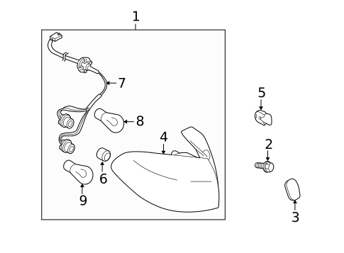 Bulbs - Chassis for 2012 Subaru Tribeca #1