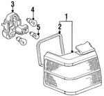 357945111A - Electrical: Tail Lamp Assembly for Volkswagen Image