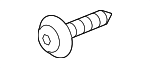 93913244J0 - Body: Side Trim Screw for Honda: Civic, CR-V, HR-V, Odyssey, Passport, Pilot, Ridgeline Image