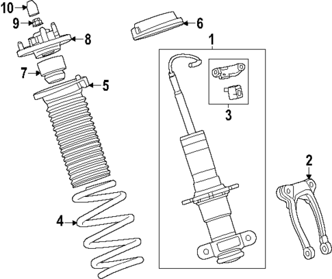 Shocks & Components for 2024 Chevrolet Corvette #1