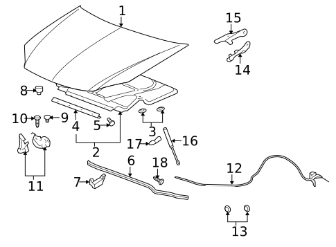 Hood & Components for 2009 Pontiac G5 #0