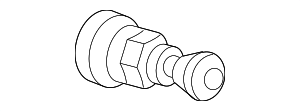 XR858423 - Suspension: Tire Valve Stem for Jaguar Image