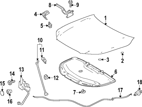Hood & Components for 2025 Toyota Grand Highlander #0