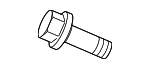 CYG100370 - : Upper Seal Bolt for Land-Rover Image