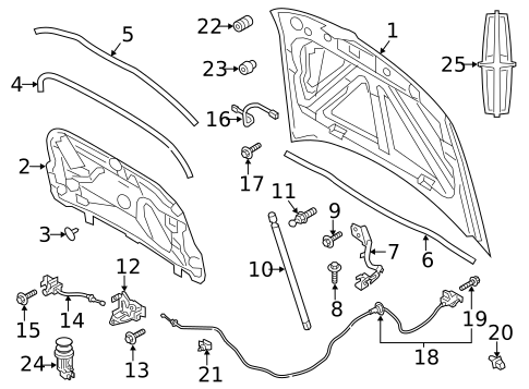 Hood & Components for 2013 Lincoln MKS #0