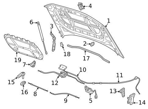 Hood & Components for 2019 Volkswagen Atlas #2