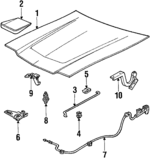 E4FZ16612A - Body: Hood for Ford: Escort | Mercury: Lynx Image