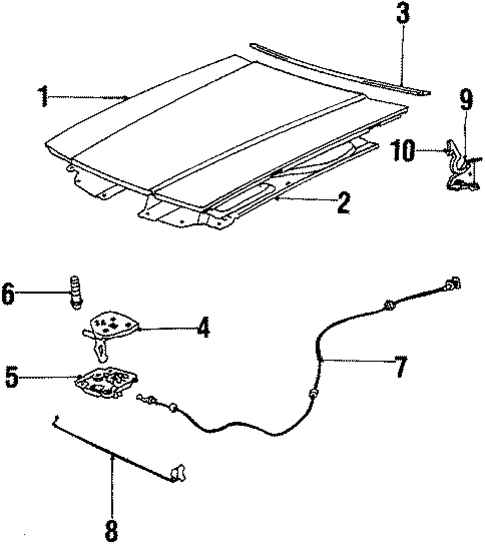 Hood & Components for 1986 Chevrolet Celebrity #0