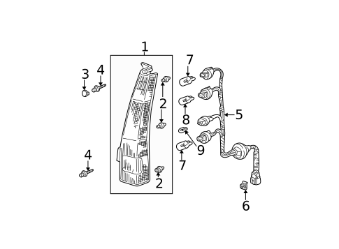 Bulbs - Chassis for 2006 Honda CR-V #0