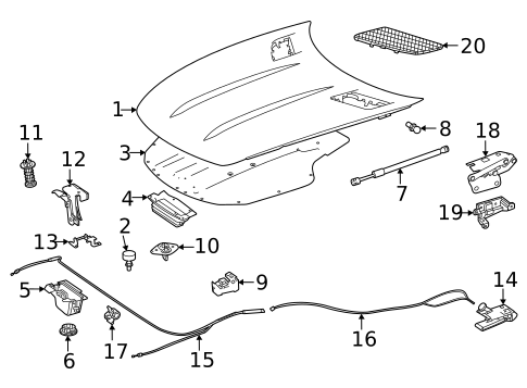Hood & Components for 2019 Mercedes-Benz AMG&reg; GT S #0