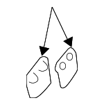 8671330 - Engine: Air Cleaner Assembly Cap for Volvo: S60, S60 Cross Country, V60, V60 Cross Country, XC60, XC70, XC90 Image