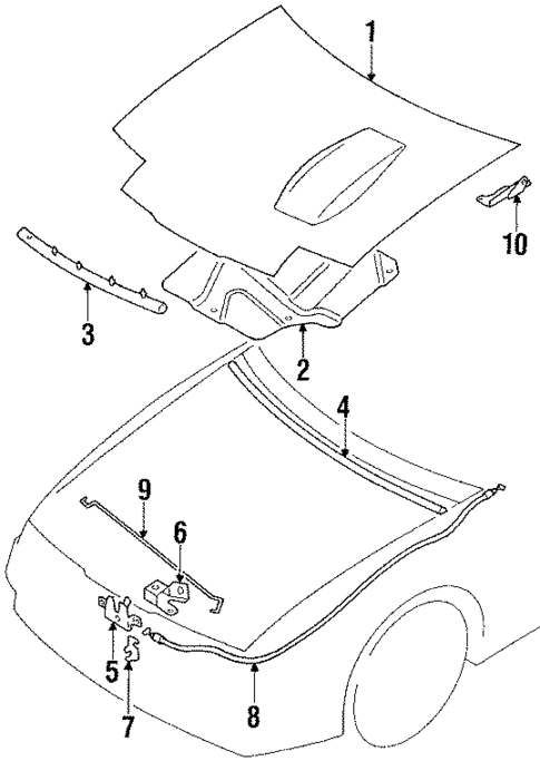 Hood & Components for 1992 Mitsubishi Eclipse #0