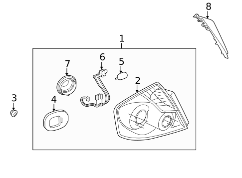Bulbs - Chassis for 2010 INFINITI M45 #4