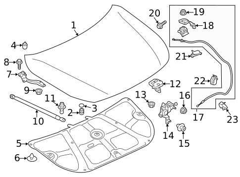 Hood & Components for 2017 Subaru Outback #0