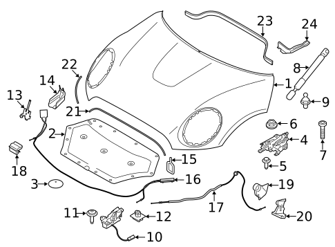 Hood & Components for 2020 Mini Cooper #1