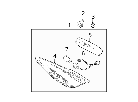 Bulbs - Chassis for 2007 Toyota Solara #4