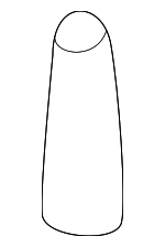 51728SR0003 - Suspension: Collar for Acura: CL, Integra, NSX, RSX, TL, TSX, Vigor Image