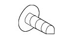 901900012 - Body: Track End Cover Screw for Subaru Image