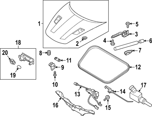 Hood & Components for 2025 Porsche 718 Spyder #0
