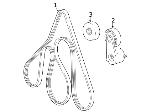 Accessory Drive Belt System Components for 1999 Ford Ranger #0