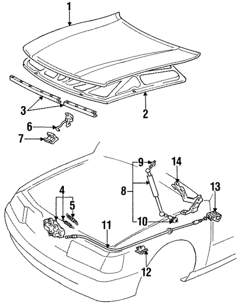 Hood & Components for 1990 Lexus LS400 #0