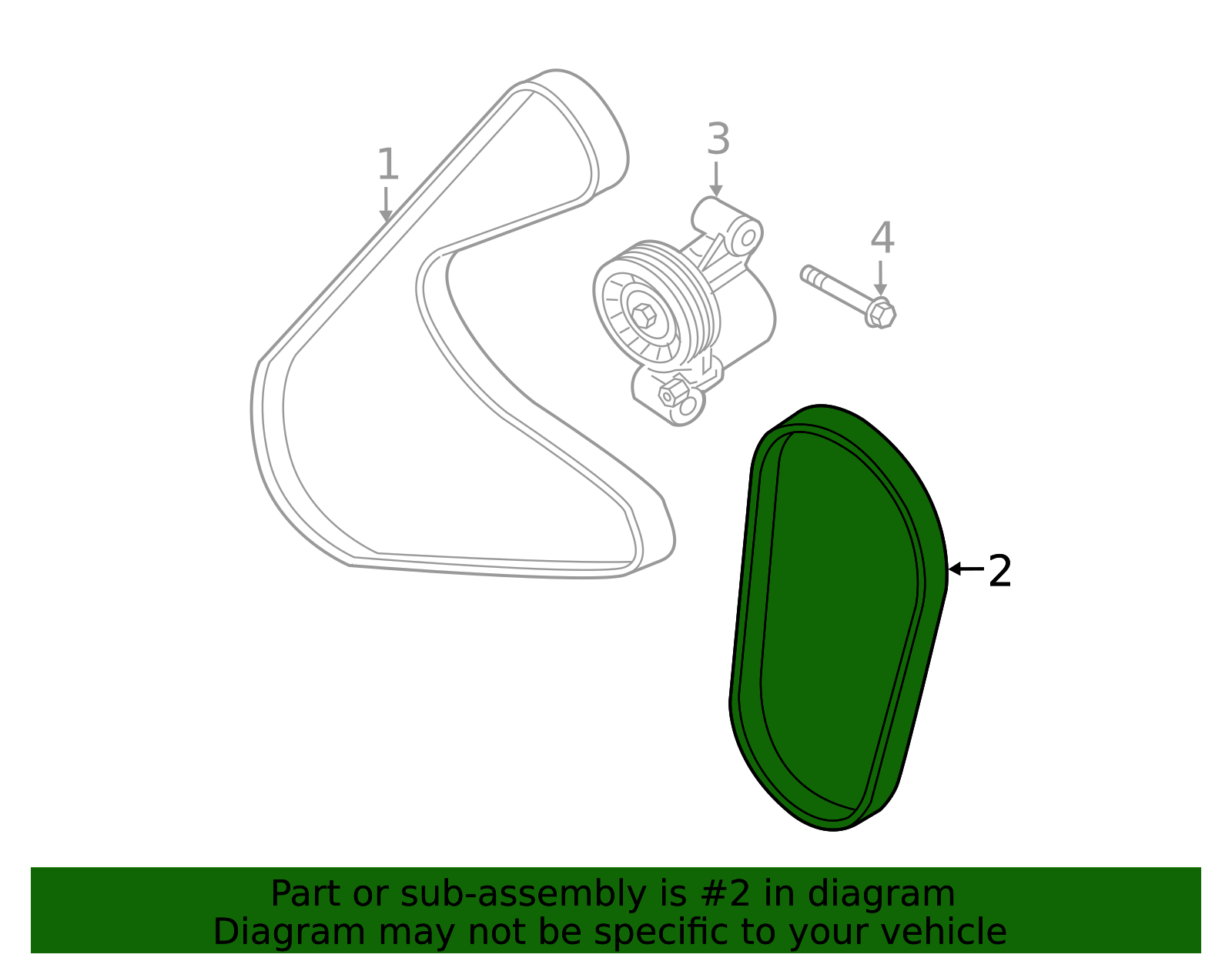 Multi Shell Necklace main image 1