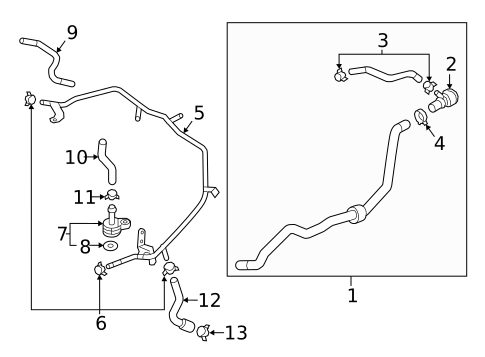 Hoses & Lines for 2019 Volkswagen Beetle #3