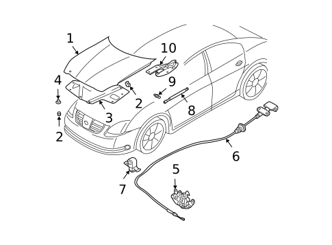 Hood & Components for 2005 Nissan Maxima #0