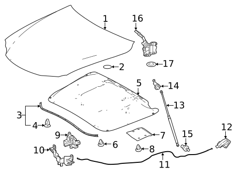 Hood & Components for 2022 Lexus IS300 #0
