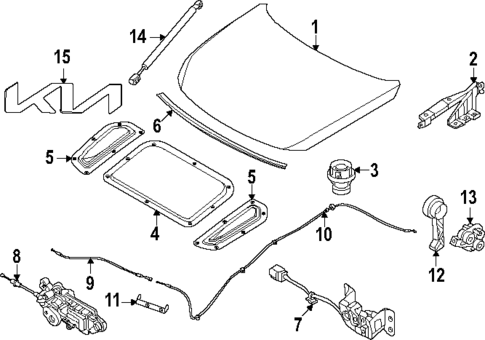 Hood & Components for 2025 Kia EV9 #0