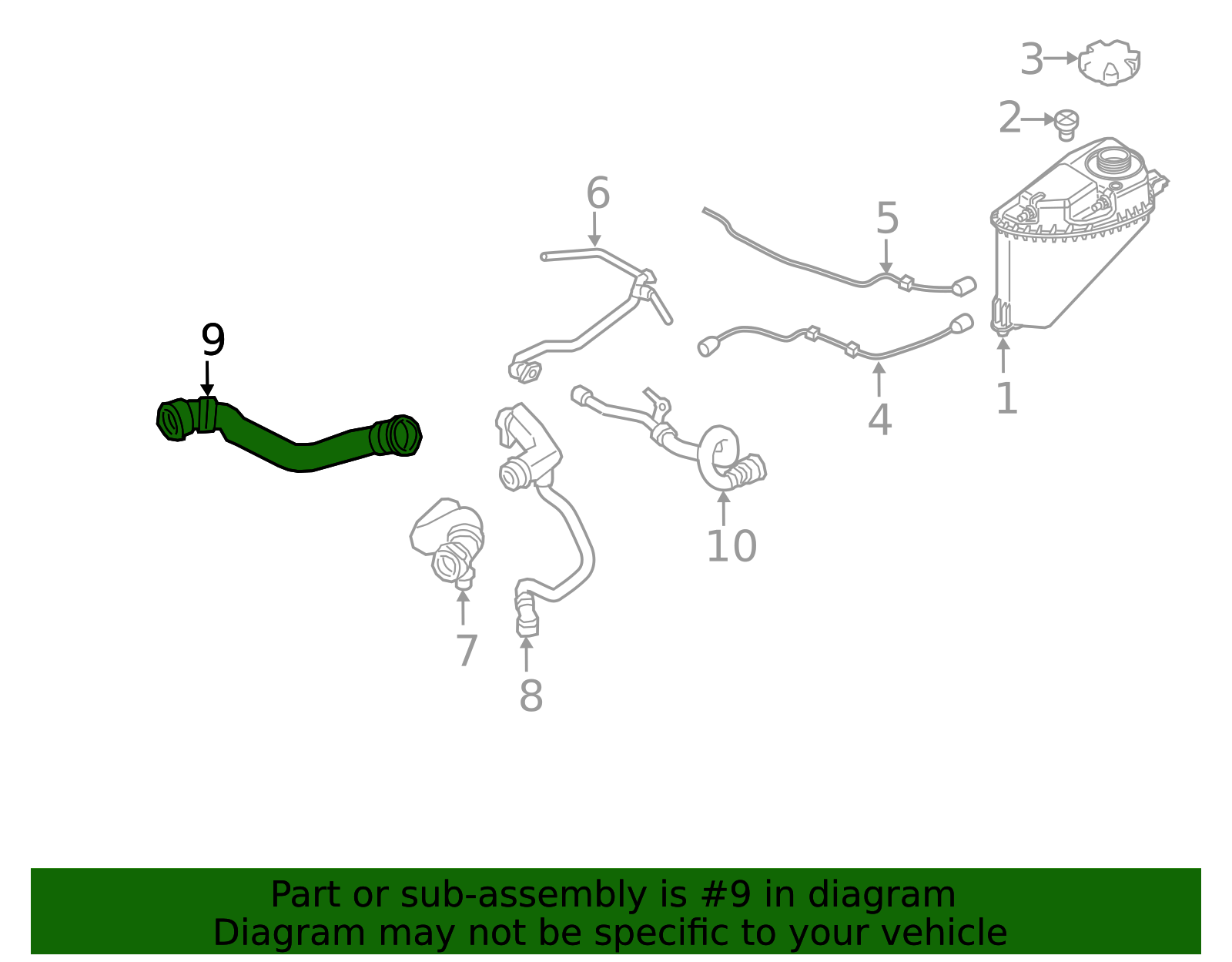 2019-2023 BMW | Lower Hose | 17127536486 | BMW OEM Parts Store