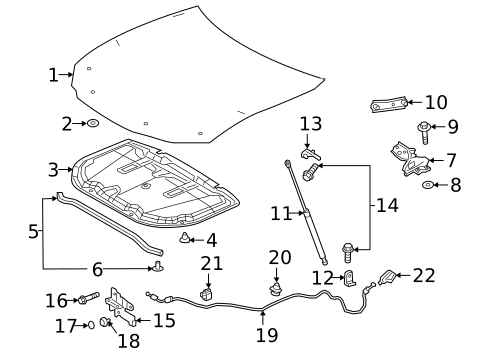 Hood & Components for 2025 Lexus ES300h #0