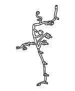 85166025 - Body: Harness for Cadillac: Escalade, Escalade ESV Image