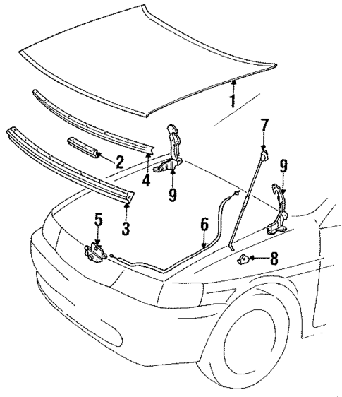 Hood & Components for 1993 Toyota Tercel #0
