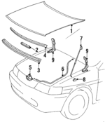 5330116120 - Body: Hood for Toyota: Tercel Image